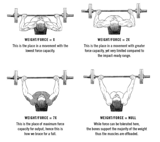 ranges of motion bench press